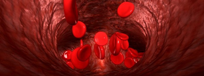 Blood Cells In A Vein