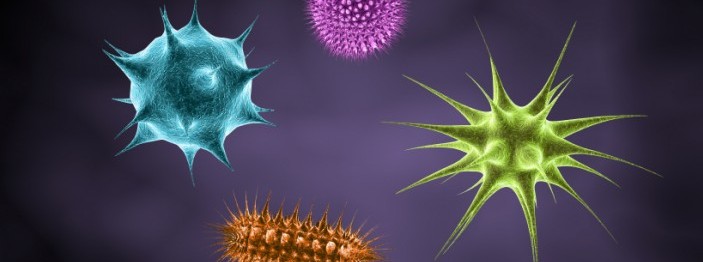 Four different types of magnified microbes